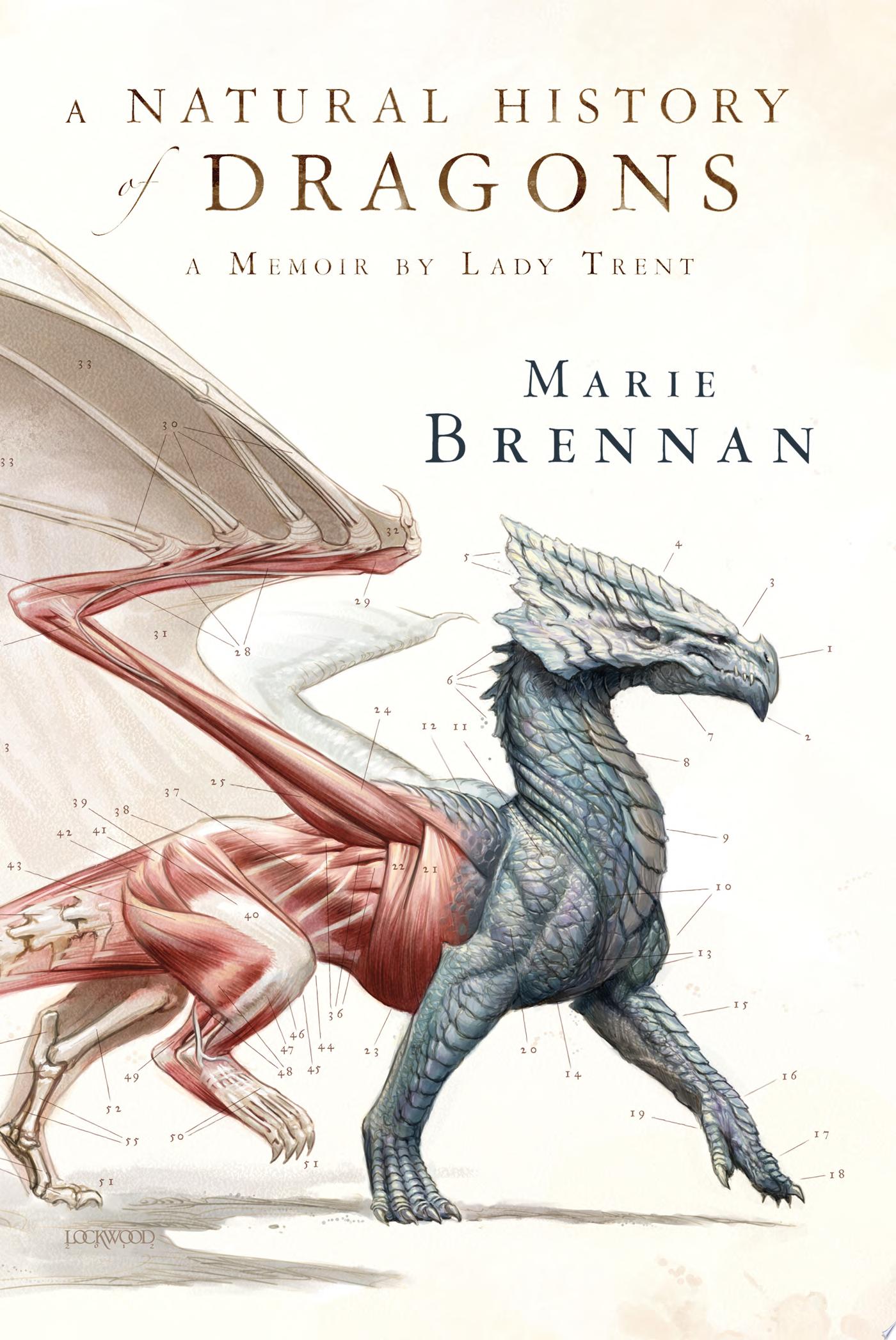 Image for "A Natural History of Dragons"