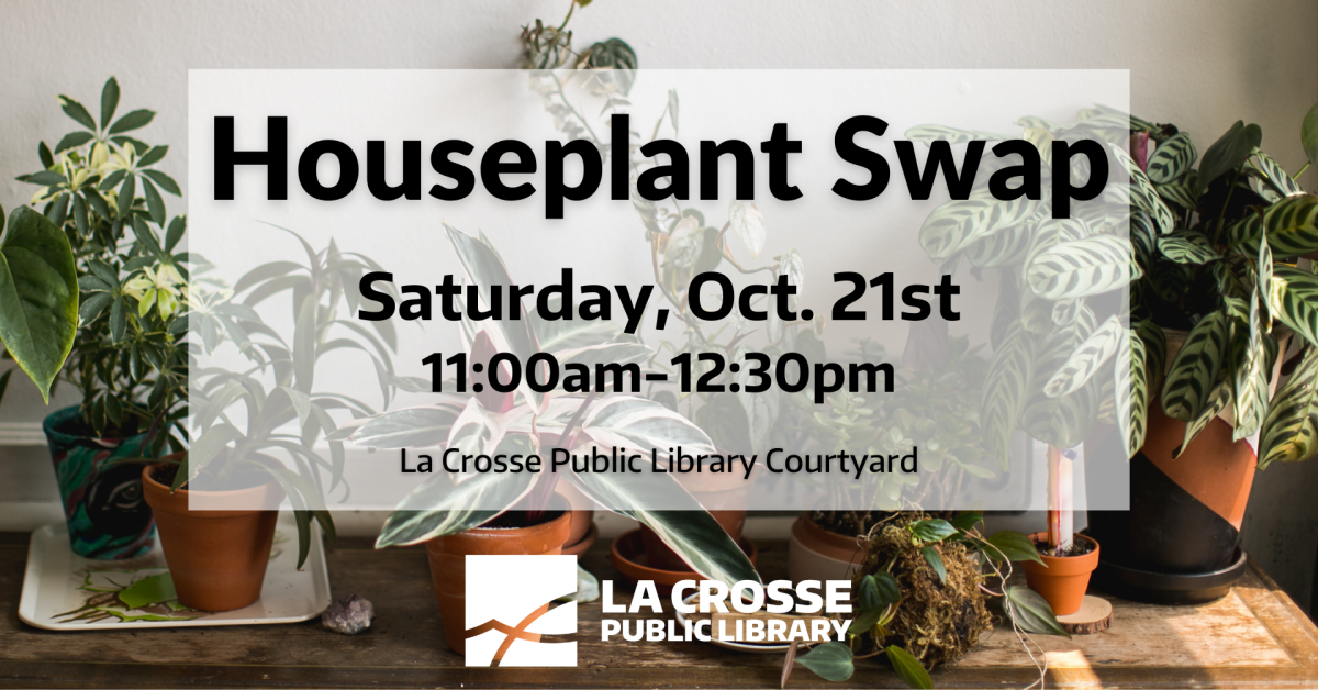 Image of potted houseplants on a table